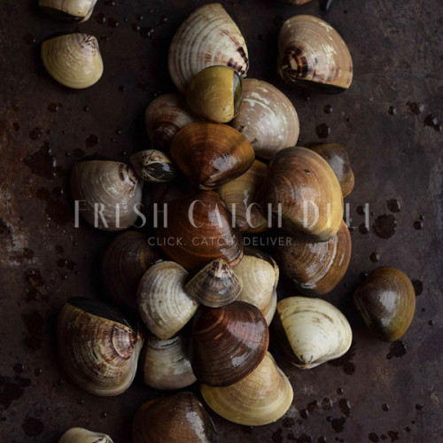 Buy Shellfish Online Fish Store Fresh Catch Deli